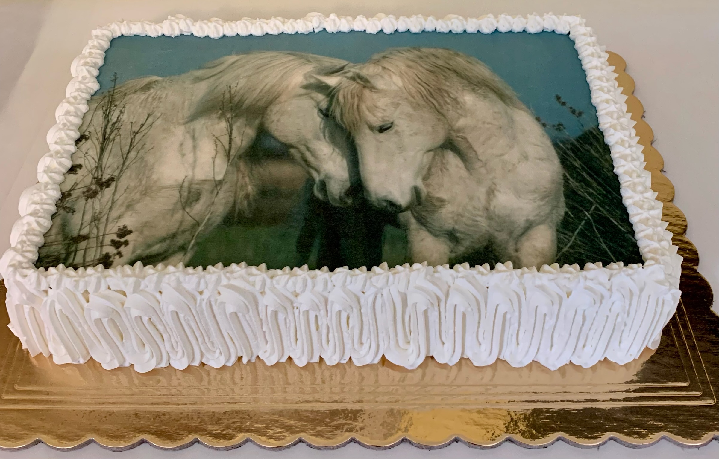 Torta Cialda Bianca Cavalli Bianchi